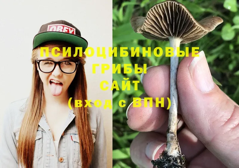 Галлюциногенные грибы Cubensis  купить наркотик  Тюмень 